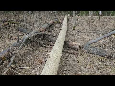 Видео: Сплав по реке Тагил