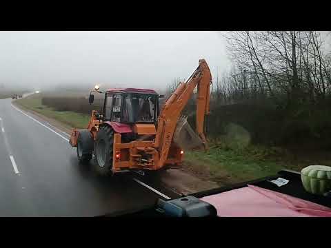 Видео: ёжик в тумане