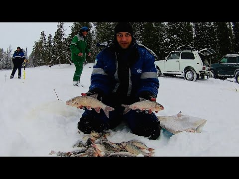 Видео: НАРВАЛИСЬ НА ГОРБАЧЕЙ ПЕРЕД РОЖДЕСТВОМ. ПОСЛЕ ОТПРАВИЛИСЬ ЗА ЯЗЕМ. ЗИМНЯЯ РЫБАЛКА 2020.