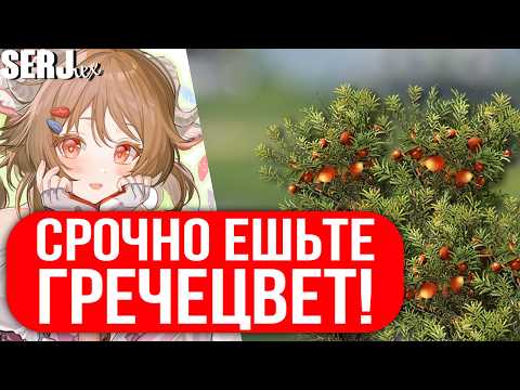 Видео: ФАРМ ГРЕЧЕЦВЕТА И ЕГО ПОРОШКА ЧЕРЕЗ 3 ПОСТРОЙКИ | Arknights Endfield