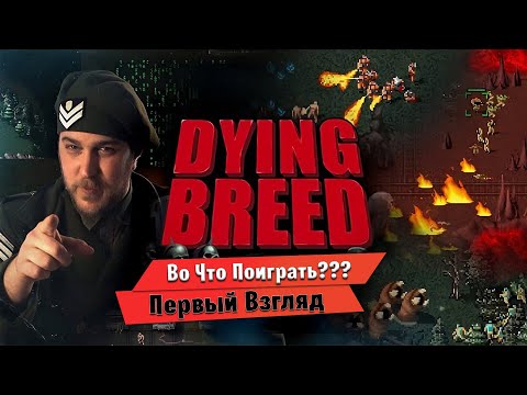 Видео: 🎮Во Что Поиграть???🎮 Dying Breed Первый Взгляд классическая RTS в Духе Red Alert 1