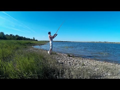Видео: Рыбалка на водохранилище на макушатник.