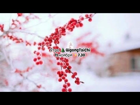 Видео: Forest🌲Qigong.Стрим ✨весенняя группа регулярные занятия зимний период по рассписанию #ForestQigong