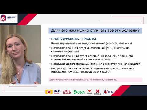 Видео: 9. Что может казаться отравлением у животных, но не являться им, и как это понять.