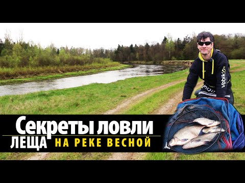 Видео: Ловля леща весной на фидер на реке Неман 2021 / Секреты фидерной ловли