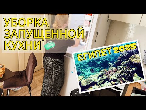 Видео: МОТИВАЦИЯ НА УБОРКУ КУХНИ 🤩🧹🧴РАССКАЗЫВАЮ ПРО ОТПУСК В ЕГИПТЕ 2025🐡🪸