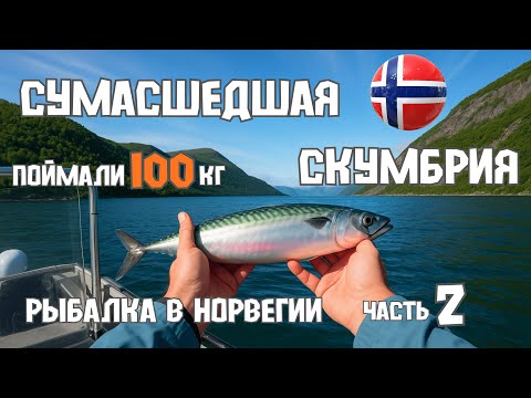Видео: Рыбалка на Скумбрию в Норвегии! Сенья. Часть 2.