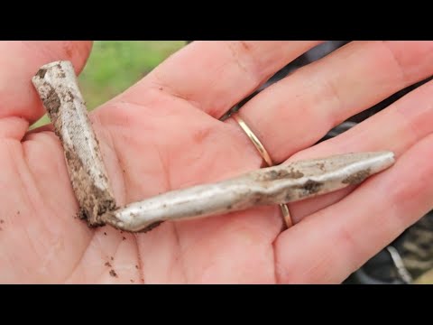 Видео: Вместе весело копать, на просторах... Коп на поле чудес с хорошей компанией 👍