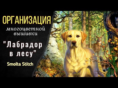 Видео: Как организовать многоцветную вышивку? Лабрадор в лесу. Smolta Stitch.