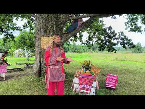 Видео: Светье Тело человека - ключи к познанию