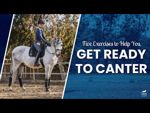 Видео: Пять упражнений, которые нужно сделать перед галопом
