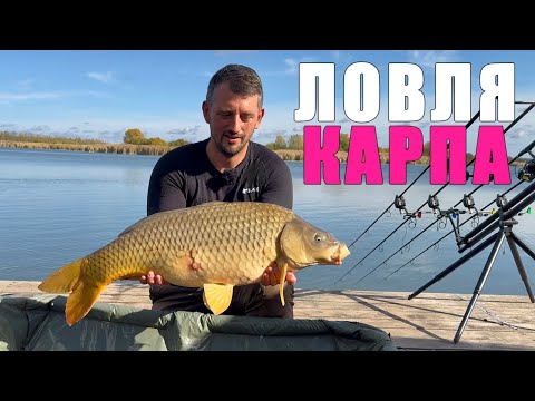 Видео: Как поймать карпа на соревнованиях. Карпфишинг 2026
