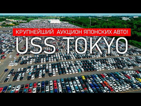 Видео: Один день на USS TOKYO❗️КРУПНЕЙШИЙ В МИРЕ АУКЦИОН АВТО ИЗ ЯПОНИИ❗️Купили сами TLC PRADO