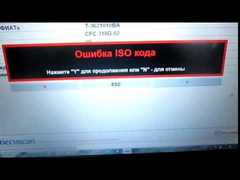 Видео: Настройка РКПП Vortex Tingo программой Multiecuscan