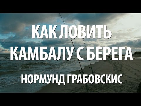 Видео: МОРСКАЯ РЫБАЛКА на РЫБУ КАМБАЛУ с БЕРЕГА на БАЛТИЙСКОМ МОРЕ ОСЕНЬЮ с НОРМУНДОМ ГРАБОВСКИСОМ