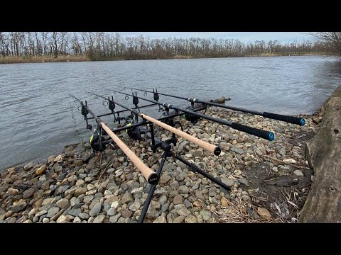 Видео: ПОЙМАЛ КАРПА НА 18КГ|ЗОЛОТОЙ БЕРЕГ🔥