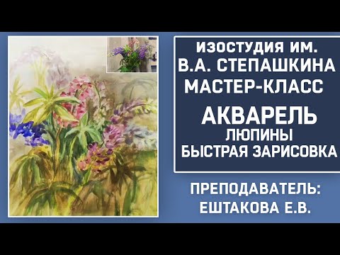Видео: ЗАРИСОВКА АКВАРЕЛЬЮ люпины