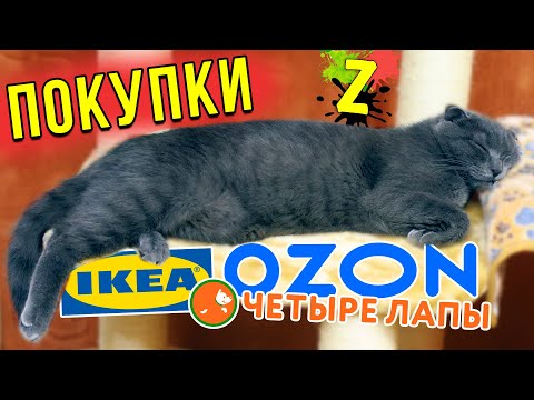 Видео: Мои покупки января на Озон / Четыре лапы / Икеа