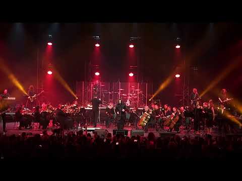 Видео: Кукрыниксы. Наследие. Концерт с симфоническим оркестром. Ледовый дворец. 18.05.24