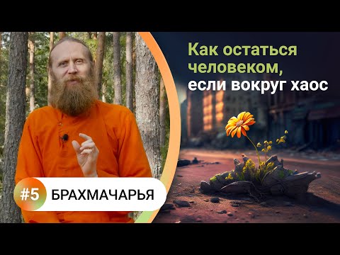 Видео: Как жить в балансе? — 5. БРАХМАЧАРЬЯ. Счастье во всем. Как остаться человеком, если вокруг хаос?