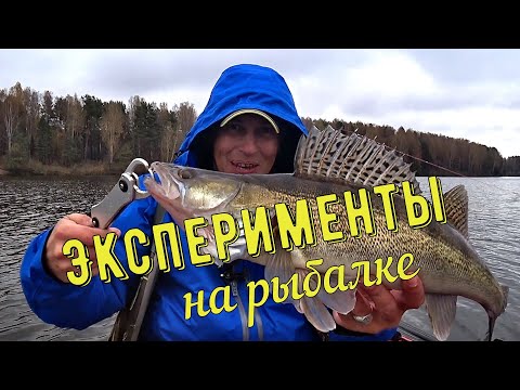 Видео: Эксперименты на рыбалке. Ловля СУДАКА и ЩУКИ