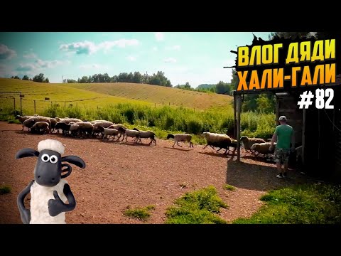 Видео: Влог Дяди «Хали-Гали» #82