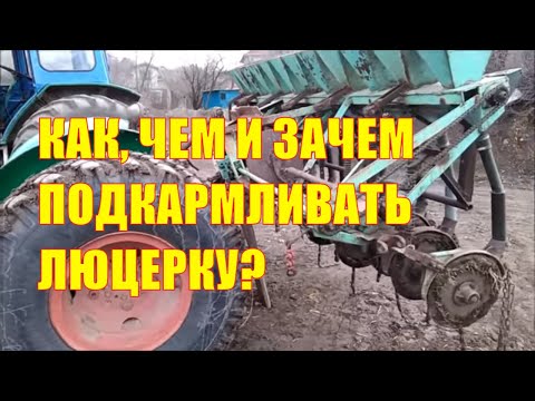 Видео: Как, чем и зачем подкармливать люцерну? Селитра и амофос