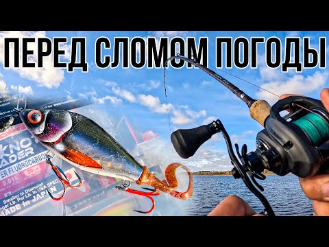 Видео: Щука Перед Сломом Погоды - Как и Чем Ловить? Рыбалка с лодки на Волге