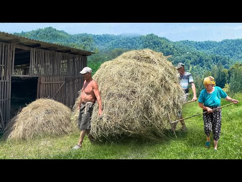 Видео: Тяжелая Жизнь в горном селе Карпат. Семья готовит сено на зиму