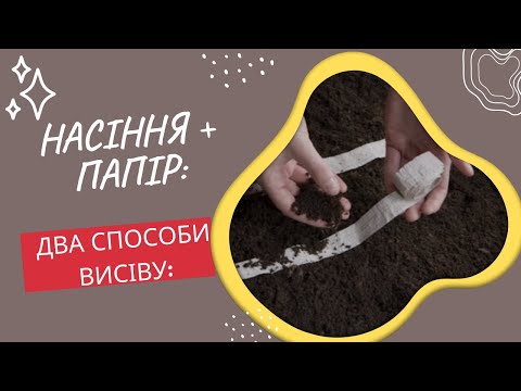 Видео: Насіння на папері: як виготовити власноруч та у чому його переваги і недоліки