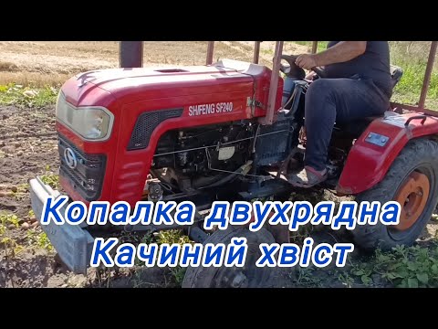 Видео: Найняв трактор на копання картоплі, копалка качиний хвіст двох рядна#копалка#трактор#село