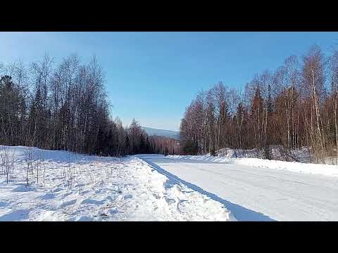 Видео: Этого мы не ожидали!🤗Таёжная встреча!❤️❤️