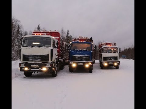 Видео: За границу за лесом😁 Куда же я всё-таки поехал? #маз #лесовоз