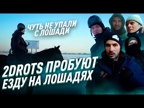 Видео: 2DROTS ПРОБУЕТ / КАТАЕМСЯ НА ЛОШАДЯХ / ТАЛА, ФРОЛ, БАЛА, ЛОГА