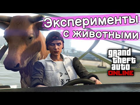 Видео: Эксперименты с животными в GTA Online