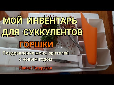 Видео: Мой инвентарь для суккулентов. Горшки.
