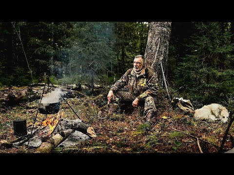 Видео: Песня про браконьеров