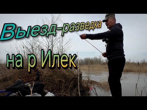 Видео: Выезд-разведка на р. Илек. В поисках клёвого места г. Актобе 2025г