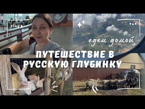 Видео: ЕДУ В РОДНУЮ ДЕРЕВНЮ. Как нас встретили мои родственники. 