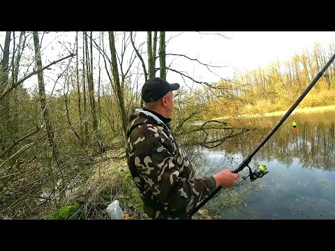 Видео: Карась рвет все снасти  В таких дебрях я ещё не рыбачил  Рыбалка на карася весной на поплавок