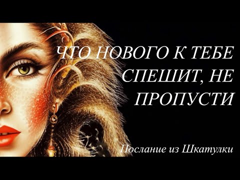 Видео: ЧТО НОВОГО СПЕШИТ В ТВОЮ ЖИЗНЬ🎶 #мастертаро#tarot#шкатулка#магияжизни#ченелинг