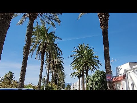 Видео: В Испании много фламинго и много риса. Delta del Ebro, parque natural.