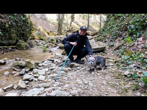 Видео: Каверзинские водопады. Как добраться с гидом Стёпой!