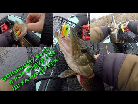 Видео: БОЛЬШОМУ КУСКУ И РОТ РАДУЕТСЯ. ЩУКА НА ДЖЕРК. В КОНЦЕ ВИДЕО БОНУС.10.11.25