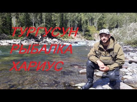 Видео: Рыбалка на хариуса на горной реке - Тургусун