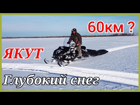 Видео: ЯКУТ PROMAX. Как идёт по глубокому снегу? Разогнал до 60 км.