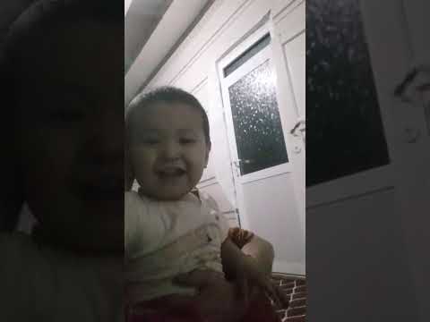 Видео: 6 октября 2025 г.