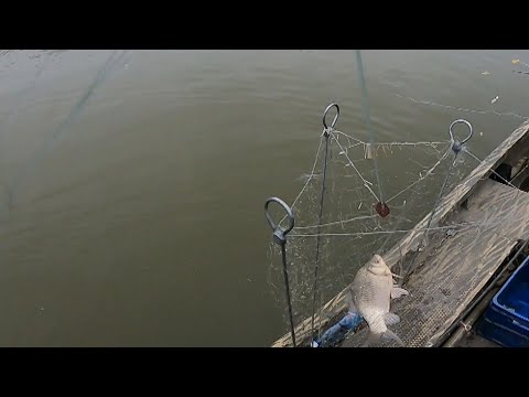 Видео: рыбалка на хапуги бешеный клёв