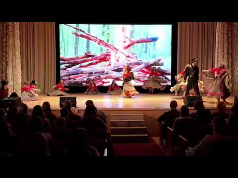 Видео: "Ромська шалька" хореографічний колектив "Либідь"