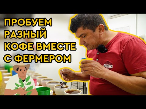 Видео: Дегустация кофе вместе с фермером | Как проходит ежедневный контроль качества кофе в компании